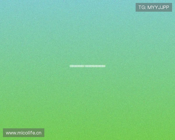 人人体育网站全面升级 新增互动功能助力用户体验提升